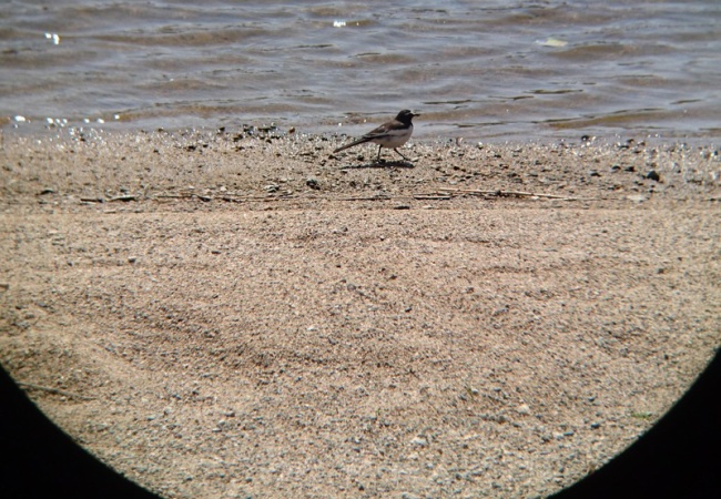 ゲームやめて気付いたが、ゲームの害悪さにワロタWWWWW