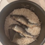 ☆甲州の渓流釣りバカ日誌☆