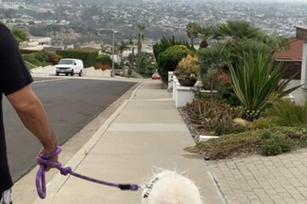 サンディエゴライフ 今昔 たこ焼き