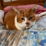 片づけの向こう側～奇跡の3日片づけ&夢をかなえる7割収納～