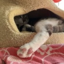 もうすぐGW