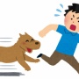 【ヤバすぎ】群馬で体長1m30cmの大型犬が大暴れ！11人が噛まれて怪我