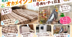 【冬支度】寝具の衣替えとオカメインコの寒さ対策！冬用ヒーターを設置