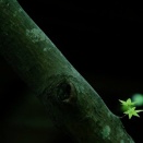 盛土規制法について