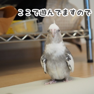 NEW!ユニブログ