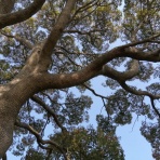 ちょっと幸せ、ずーっと幸せ