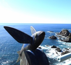 年末の幡多路旅