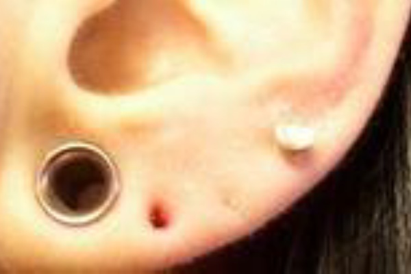 頭ネクタイ愛好会 8ゲージのホール塞ぎ中