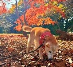 イベントのあと、心も体もひとやすみ 
