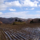 『一問一答(小川)』の画像