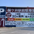 🌸【真夏でも涼しい！】清流に咲く夏の妖精「梅花藻」と中山道・醒井宿を歩いてきました｜（滋賀県米原市）