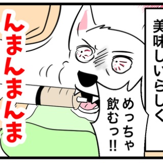 ちーちゃんっ🐾