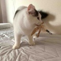 我が家の破壊王たち