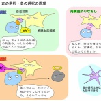 ニュースチャンネル