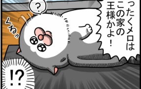 当たり前だったけど気付くとじわじわ愛おしい発見