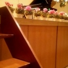 『発表会お手伝い♪』の画像