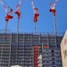 【写真】秋の晴れの日　と猫