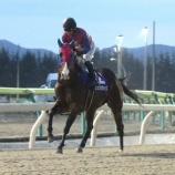 『【遠征結果】ネクストスター北日本・上位入着馬の関係者コメント』の画像