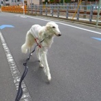 いんちょブログ