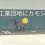 プロの掃除屋が色々試してみる！北上エアコン清掃センター