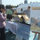 『さがみはらフェスタ参加報告』の画像