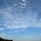 八月末の雲