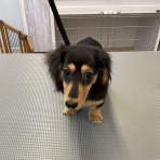 滋賀県 ペットプラザ イオン長浜店のスタッフブログ