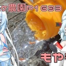 残暑厳しく、何かしようと思ったら家庭菜園にいました