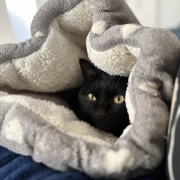 毎日が発見ネット掲載のお知らせ