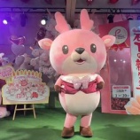 『[イコラブ] イワシカちゃんがキレッキレで「劇薬中毒」をフル完コピで踊ってるｗ』の画像