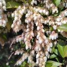 お袋の在宅介護は、まだまだ続く