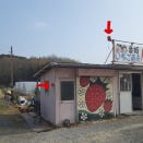 ダブルタイフーン