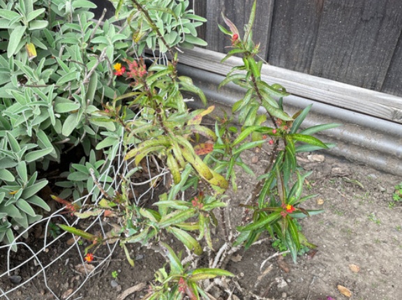 厳しい環境の中で