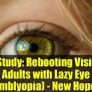 アメリカ　弱視は「視力の再起動」で改善される可能性があります
