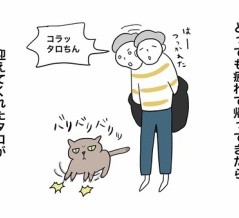 お母さんってこんな感じ？