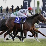 BOSS猿のアナログ肉眼競馬