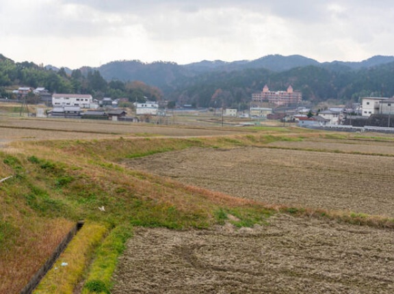 「樫田」という地名の由来はどれ？【たかつきクイズ】