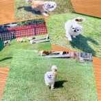 ♪毎日更新♪わたしの備忘録