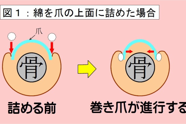 新 美爪通信