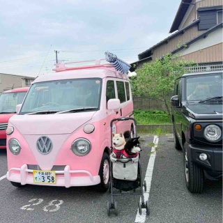 かぼすちゃんとおさんぽ。