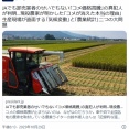 【コメ】JAでも卸売業者のせいでもない｢コメ価格高騰｣の真犯人が判明…現役農家が明かした｢コメが消えた本当の理由｣