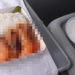 とある飛行機にて、乗務員「機内食は鶏と蛇どちらにしますか？」 X民「蛇でお願いします」 → とんでもない物が出てきて12万いいねｗｗｗｗｗ