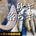 須磨の秋ギス良型揃う！