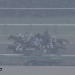 競馬総合まとめ速報