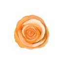 ⚜️「整えないセルフケア」宣言シリーズ