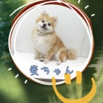 日々、ＪＡＭにあり