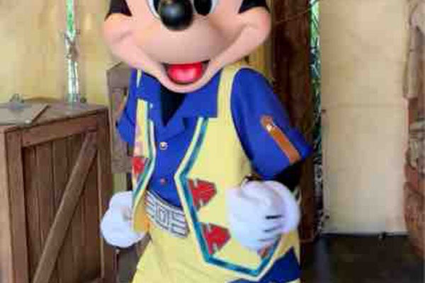 おひとりさまとたまに姪っ子と行くディズニーの旅 ショー パレード