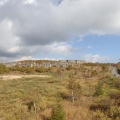 岩手 珍道中「黄金の秋が照らす松尾鉱山の廃墟は至高の絶景！」