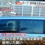 【ソンビたばこ】 広島・羽月隆太郎、尿検査で陽性反応も容疑を否認