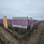 太陽SUN